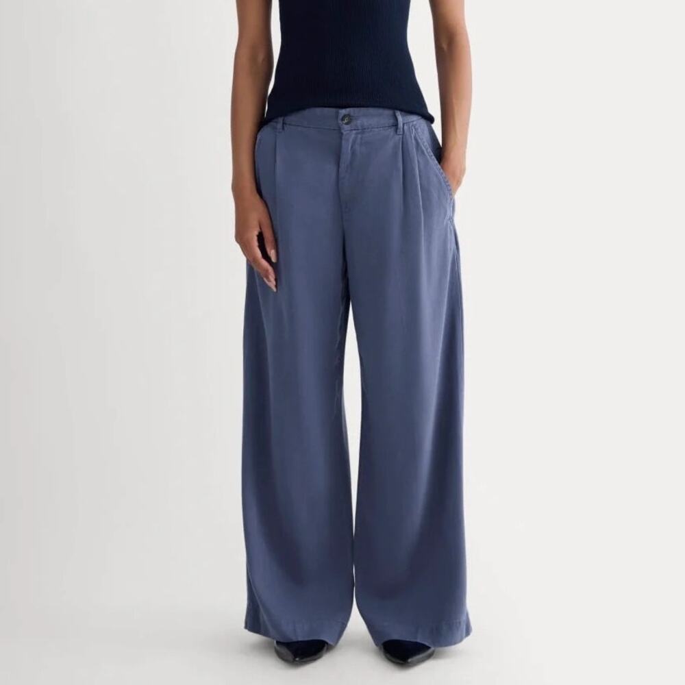 Everlane Wide Leg Pants in Slate Blue